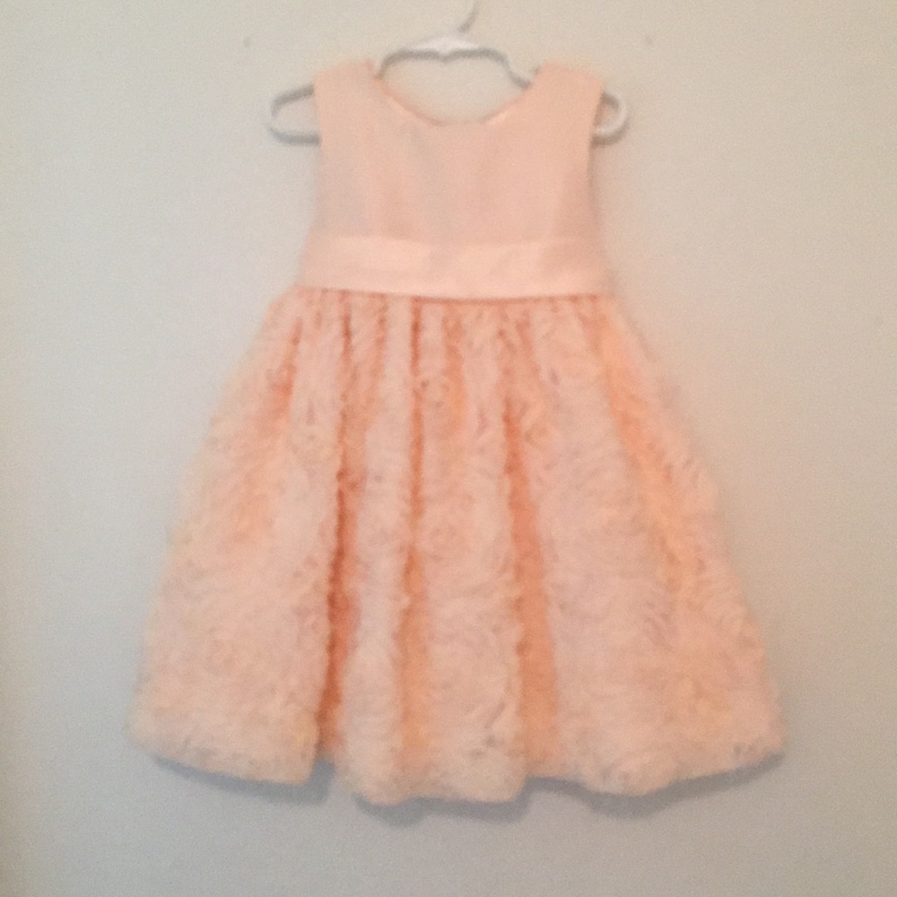 Gorgeous peach rose dress